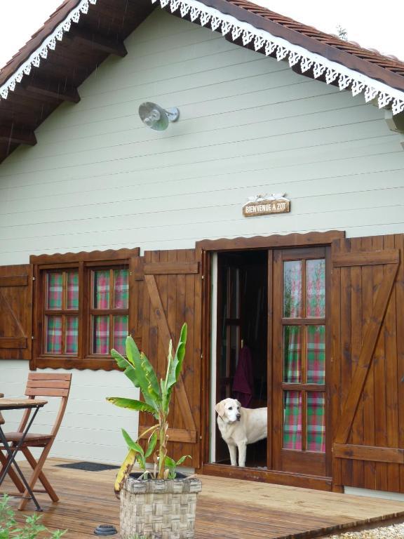 Martigny-le-Comte Le Trot'In Chair Bed & Breakfast 部屋 写真
