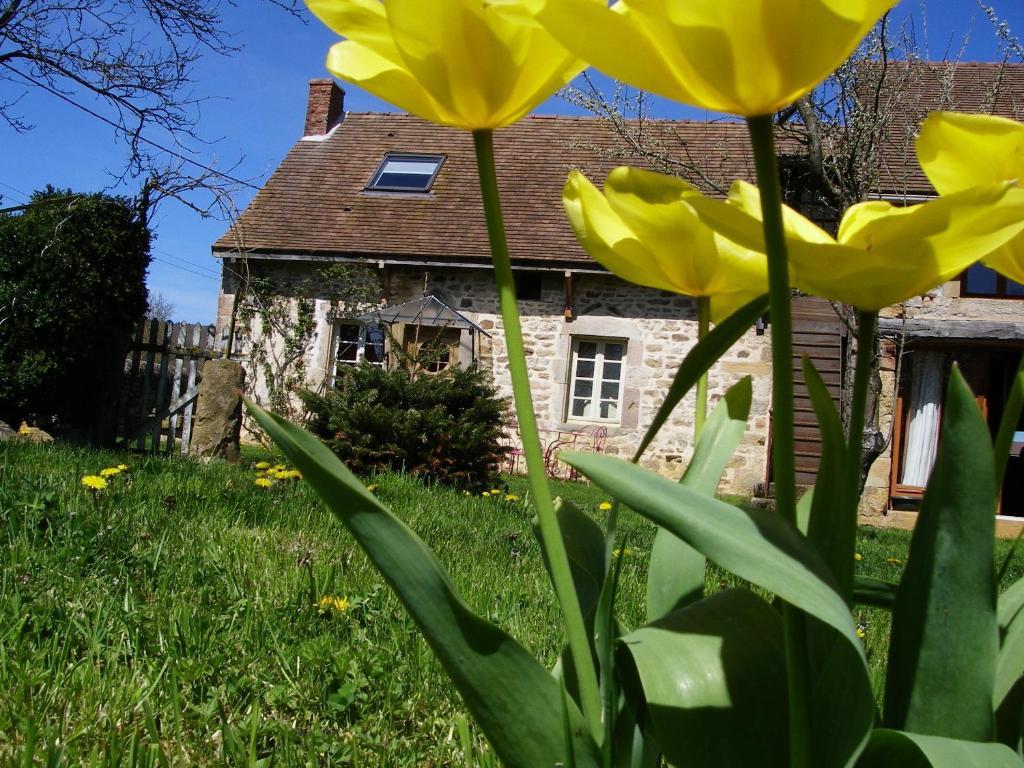 Martigny-le-Comte Le Trot'In Chair Bed & Breakfast エクステリア 写真