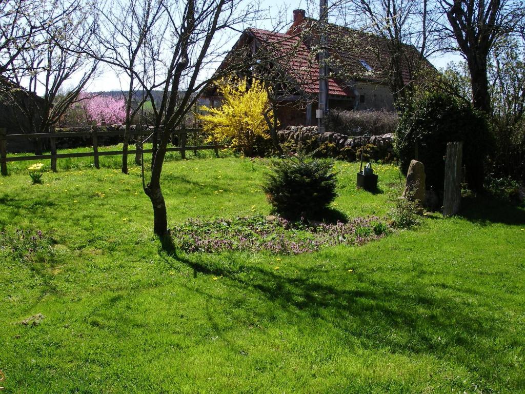 Martigny-le-Comte Le Trot'In Chair Bed & Breakfast エクステリア 写真