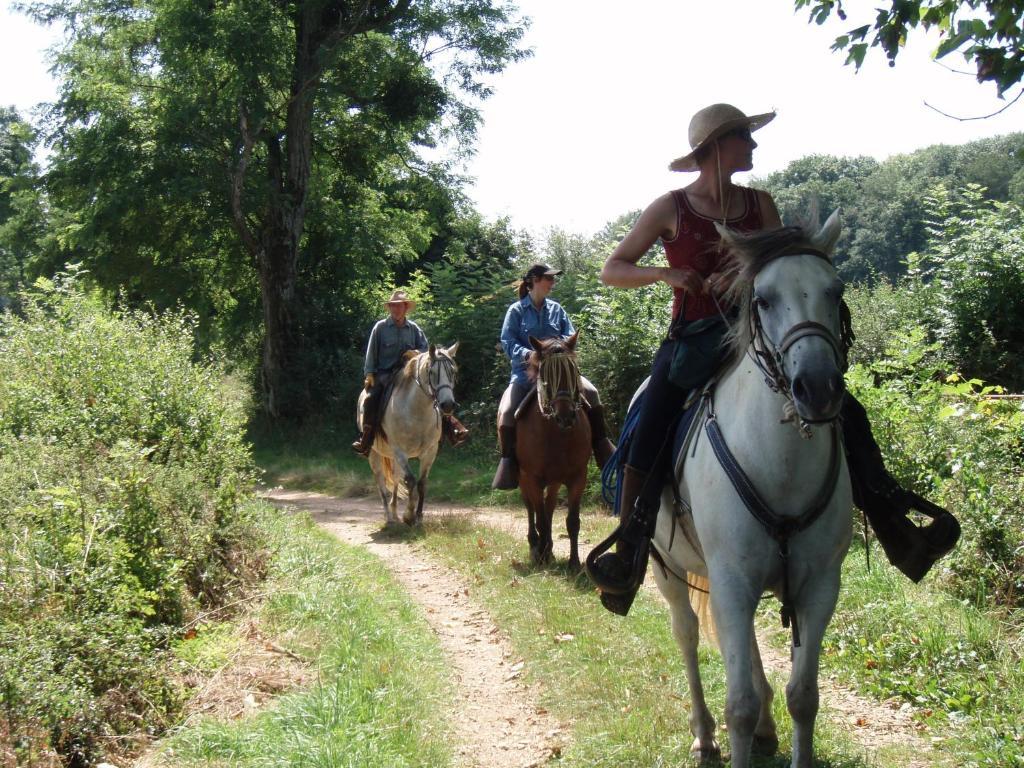 Martigny-le-Comte Le Trot'In Chair Bed & Breakfast エクステリア 写真